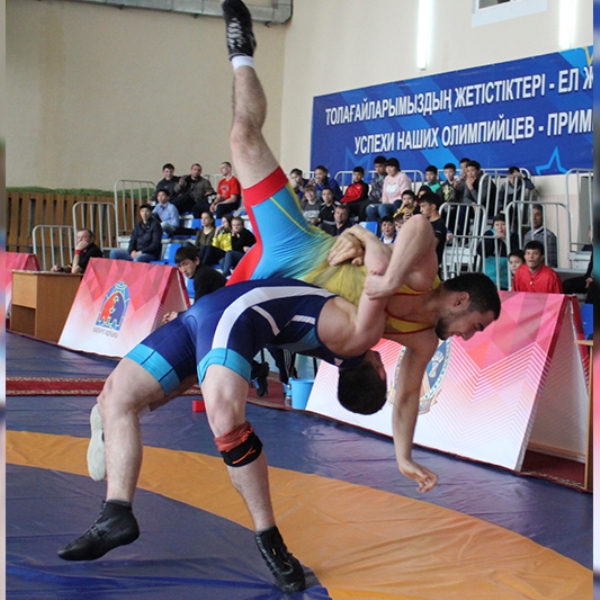 Борцы Казахстана и России соревновались в Петропавловске