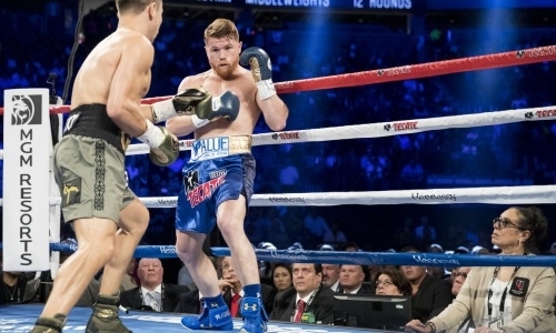 «Они были высмеяны во всем мире». СМИ беспокоятся о важном аспекте боя Головкин — «Канело»