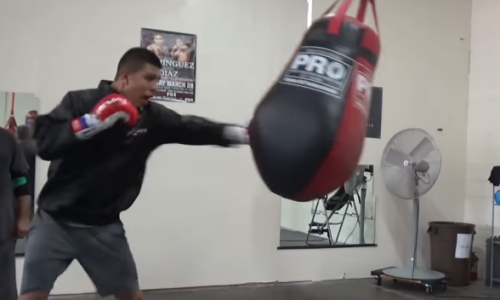 «Быстрее „Канело“ и сильнее Головкина». СМИ восхитились молодым чемпионом мира