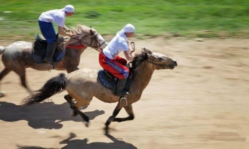 Скакун из Алматинской области выиграл забег в 16 километров на Кубке Астаны