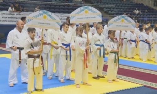 Более 400 спортсменов собрал в Астане турнир по каратэ шинкиокушинкай