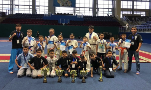 Акмолинские каратисты завоевали 9 медалей международного турнира