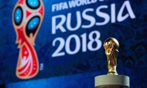 Стало известно, сколько казахстанцев посетили чемпионат мира в России