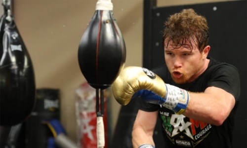 Стали известны подробности тренировок и диеты Альвареса перед боем с Головкиным