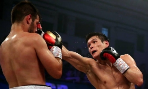 Где посмотреть прямую трансляцию третьего боя Данияра Елеусинова на профи-ринге