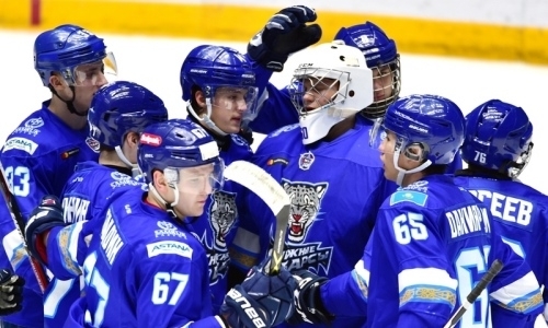 «Снежные Барсы» стартуют на турнире в Тольятти