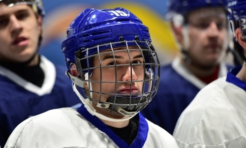 «Снежные Барсы» провели тестовые занятия с швейцарским тренером-аналитиком