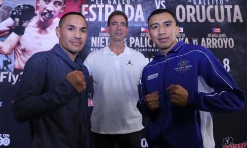 Промоутер Геннадия Головкина анонсировал «петушиные бои»