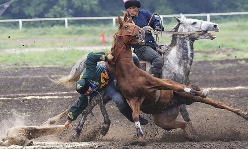 Судьбу сборной Казахстана на Играх кочевников решат судьи