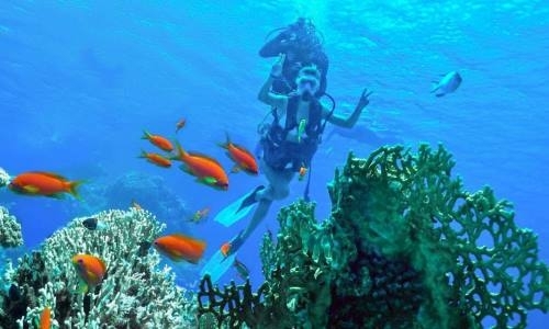 Самая сексуальная спортсменка Казахстана едва не утонула в Красном море