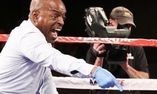 Сеть взорвало видео невероятной игры на публику рефери боя Головкин — Лемье