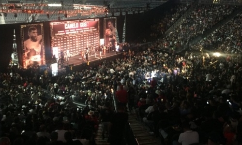 Озвучена посещаемость финального взвешивания Головкина и «Канело»