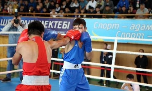 40 боксеров из трех стран бились за приз Данияра Елеусинова