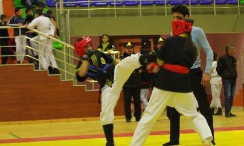 В Казахстане хотят возродить древнетюркский вид единоборств «алпагут»