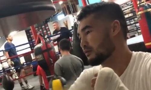 Непобежденный казахстанец из Top Rank готовится к возвращению на ринг