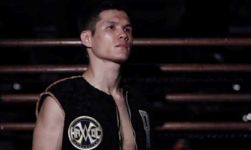 Американцы начинают любить Елеусинова. Видео после четвертого боя в профи