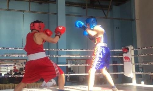 В Кокшетау завершился турнир памяти основоположников акмолинского бокса