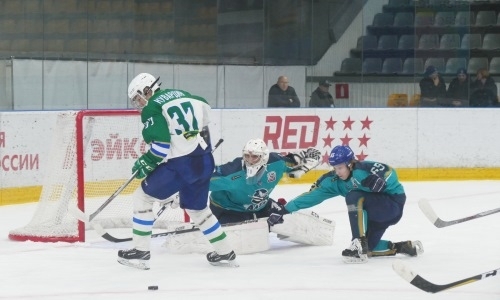 Фоторепортаж с матча МХЛ «Алтай» — «Толпар» 1:7