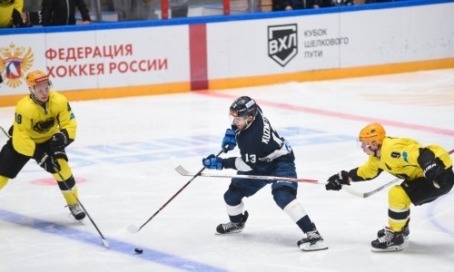 Фоторепортаж с матча ВХЛ «Динамо» Санкт-Петербург — «Сарыарка» 2:1