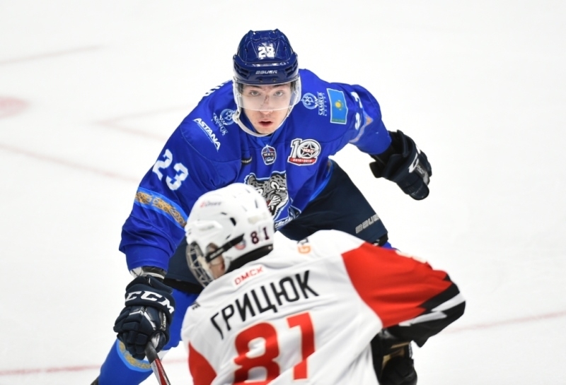 Ястребы барсы. Ястребы 2009. Ястребы барсы. Ястребы 2009. Ястребы барсы.