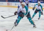 Фоторепортаж с матча ВХЛ «Лада» — «Торпедо» 4:1