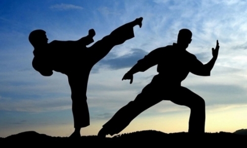 В Астане состоится чемпионат мира по каратэ-до кекушинкай КWF