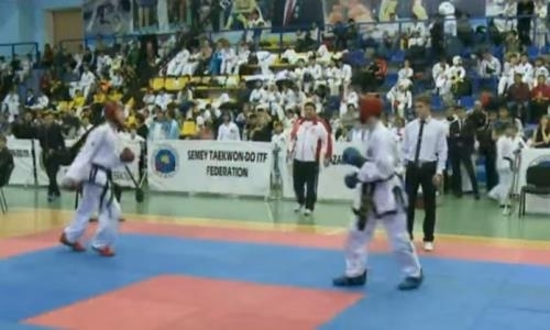 Международный турнир по таэквондо собрал в Семее около 500 бойцов из 5 стран