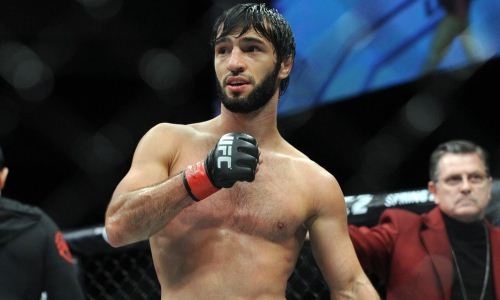 «Незаконно». Комиссия высказалась об обидчике Хамитова, устроившем драку с Макгрегором