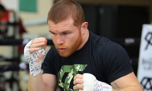 «Канело» озвучил планы после титульного боя в суперсреднем весе после победы над Головкиным