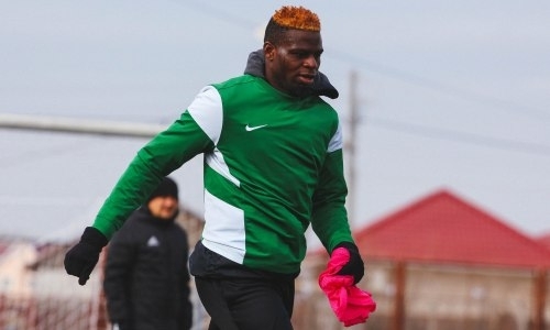 Никаких сюрпризов. Баба по прозвищу Тигр