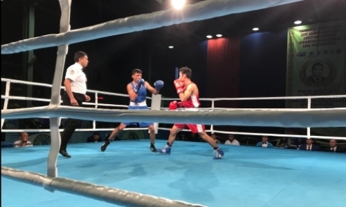 Чемпионка мира и звезды кино посетят международный турнир в Караганде