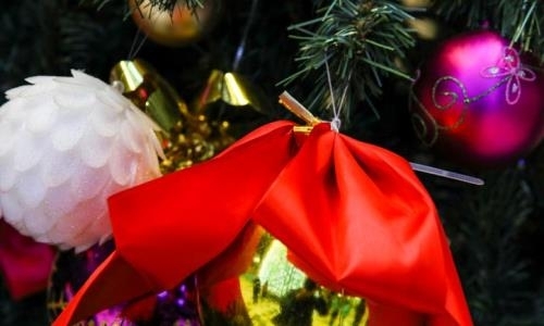 Известные казахстанские спортсмены поздравили соотечественников с Новым годом