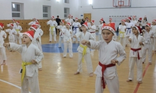 В Кокшетау более 300 каратистов нанесли 2019 ударов