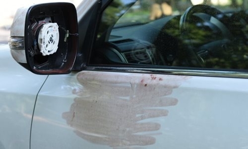 Мать Дениса Тена раскрыла неожиданные подробности убийства сына