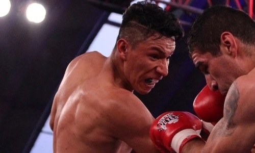 «Питбуль». C кем казахстанскому нокаутеру предстоит биться за титул чемпиона мира WBC