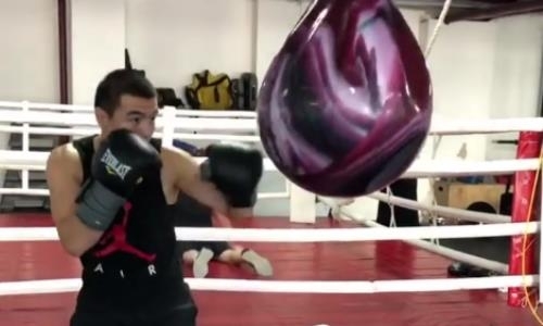 Непобежденный казахстанский нокаутер показал видео своей тренировки