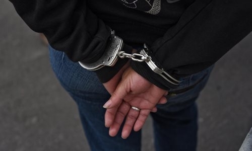 Предполагаемая сообщница убийц Дениса Тена дала показания в суде