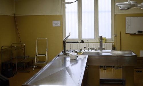 Судмедэксперт назвал причину смерти Дениса Тена