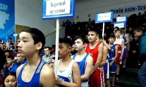Республиканский турнир среди юношей состоялся в Акмолинской области