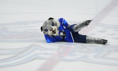 Барсик и талисманы клубов КХЛ выложили на льду название лиги