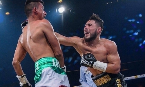 «Очень сильная система и интеллектуальный менеджмент». Названо идеальное место для покорения казахстанским нокаутером мира