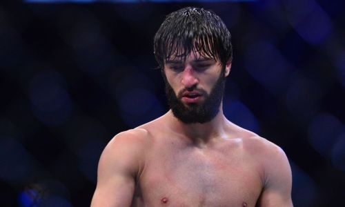 Официально объявлен срок дисквалификации обидчика Хамитова за драку после боя Нурмагомедов — Макгрегор