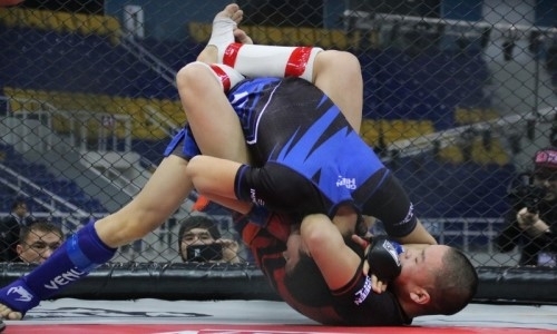 Рекордное количество бойцов участвуют на чемпионате Казахстана по ММА