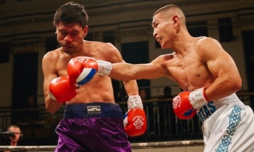 Казахстанский боксер из компании Сондерса и Фьюри выбрал соперника с 50 поражениями