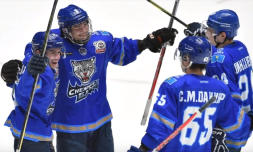 Видеообзор матча МХЛ «Снежные Барсы» — «Реактор» 6:4