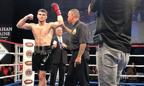 Казахстанский чемпион WBC выступит в андеркарде следующего боя Головкина