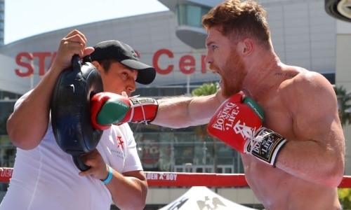 «Взрывная сила» «Канело». Серия безумных ударов обидчика Головкина попала на видео