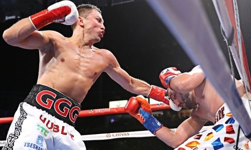 WBC объявил дату и место следующего боя Головкина