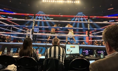 «Деклассировал соперника». Зарубежное СМИ оценило победу Алимханулы