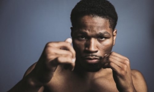 «Я уверен». Обладатель титула WBC ответил желающей подраться с ним и Головкиным абсолютной чемпионке